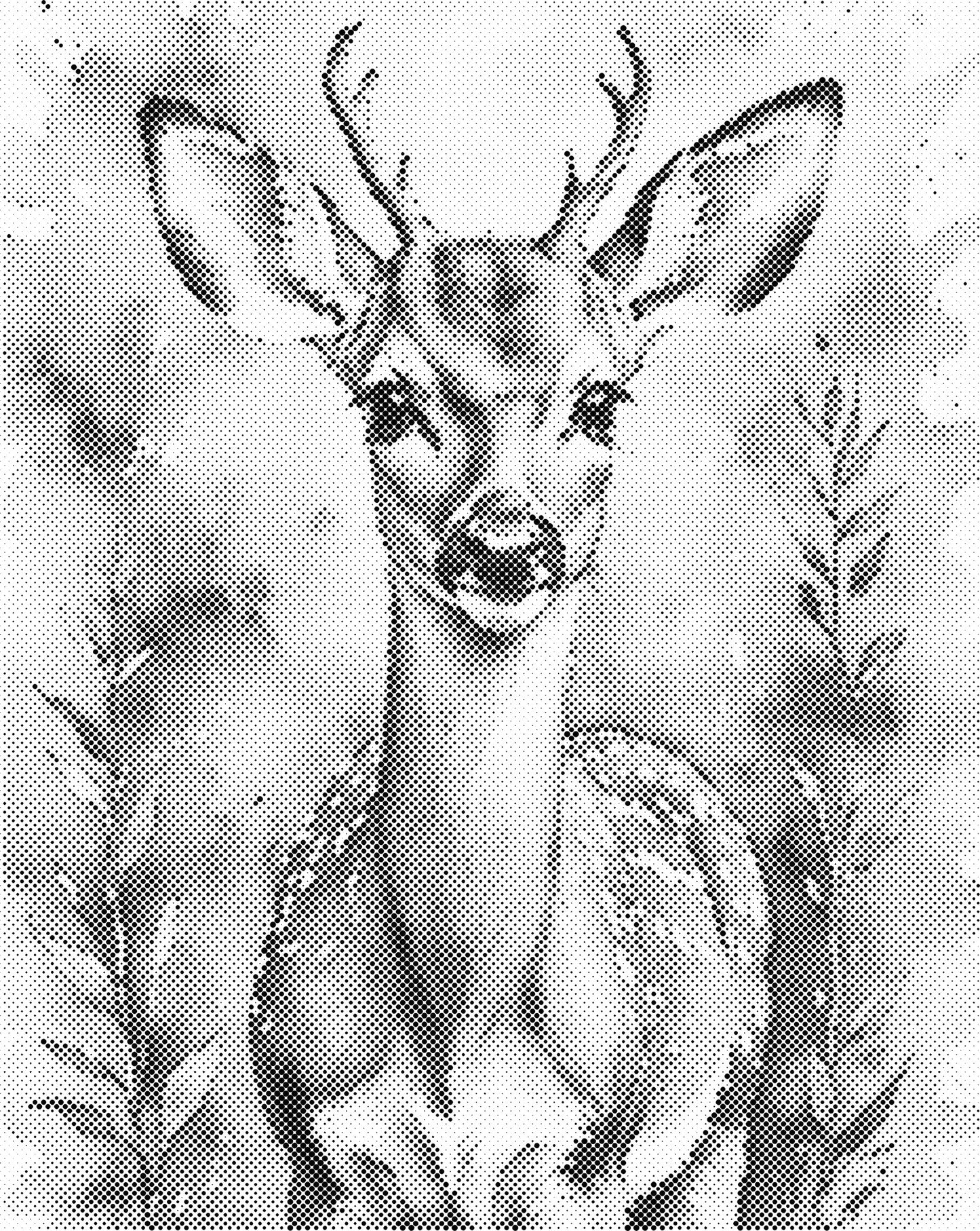 DOT Painting – Dieren op Canvas (40x50cm of 60x75cm) – Met of zonder stiften