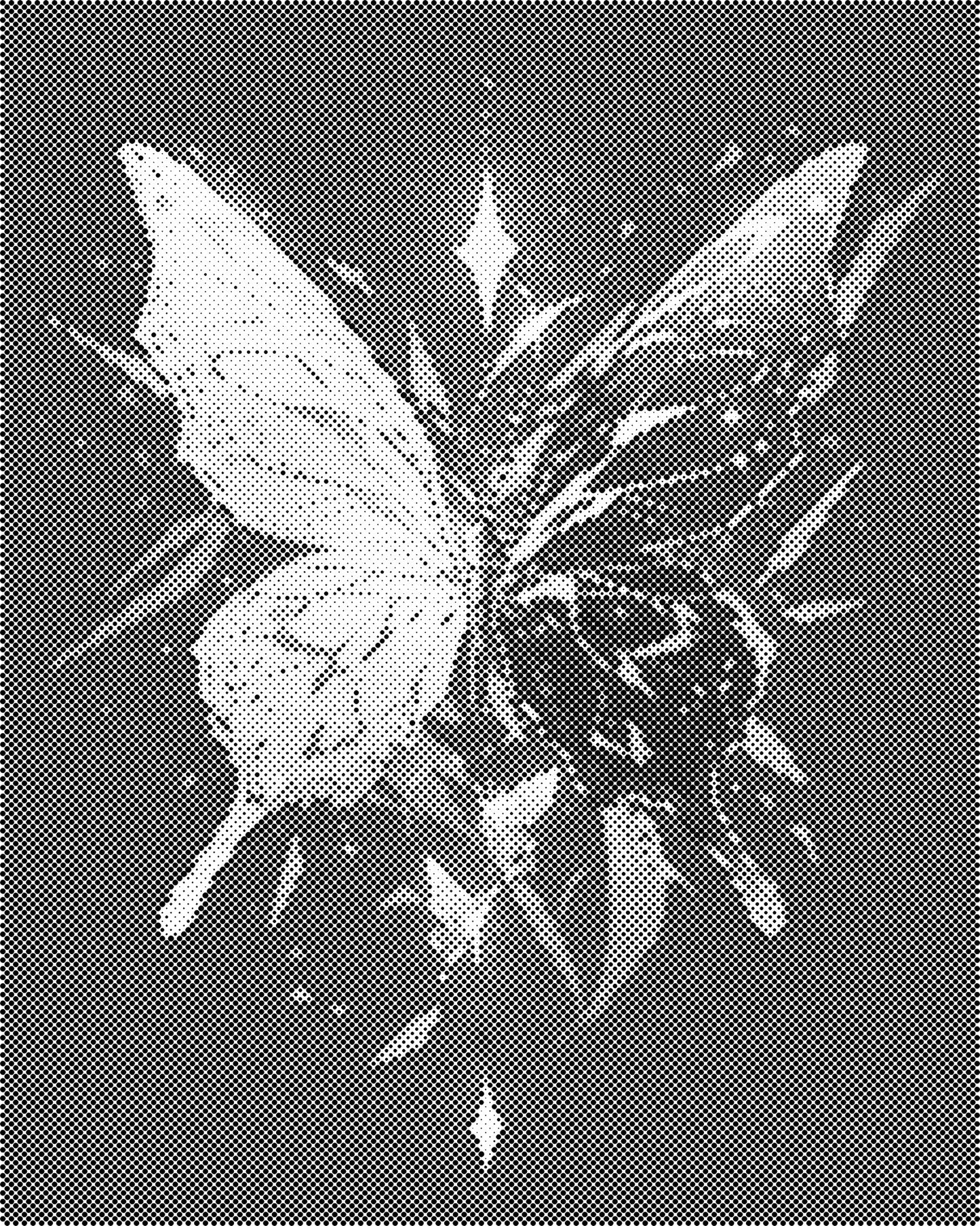 DOT Painting Vlinder - Magical Insects