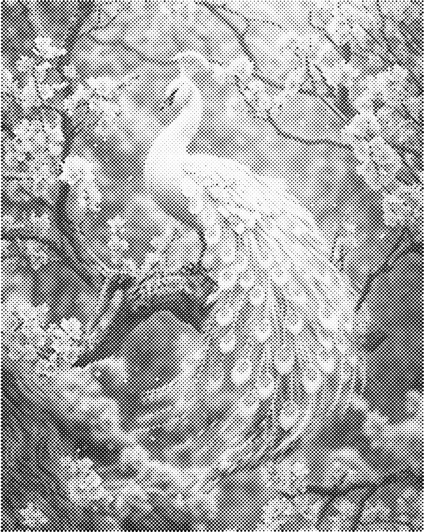 DOT Painting – Dieren op Canvas (40x50cm of 60x75cm) – Met of zonder stiften