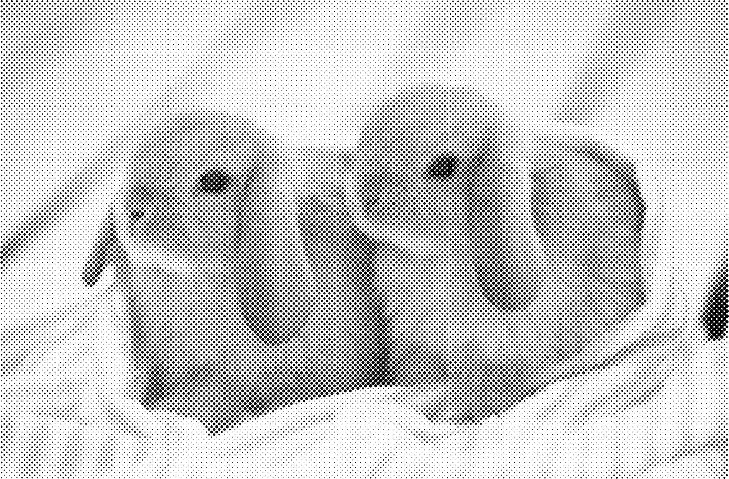 DOT Painting Dieren - Konijnen, Puppies en Katten - Verkrijgbaar in 40x60cm, 50x75cm en 60x90cm