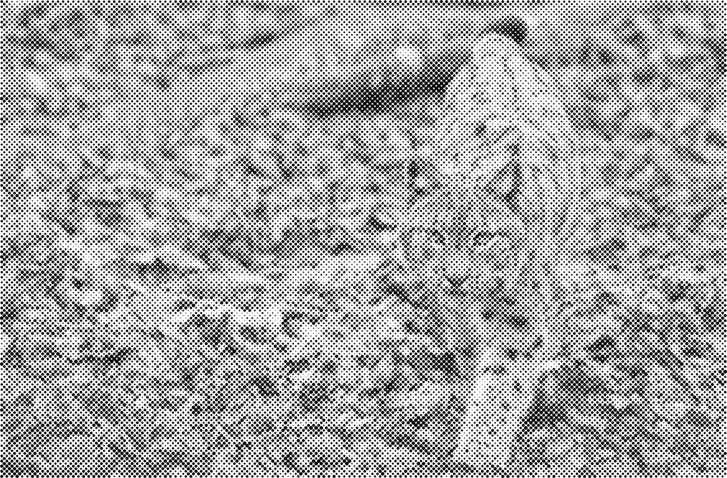 DOT Painting Big Cats - Leeuw, Tijger en Luipaard