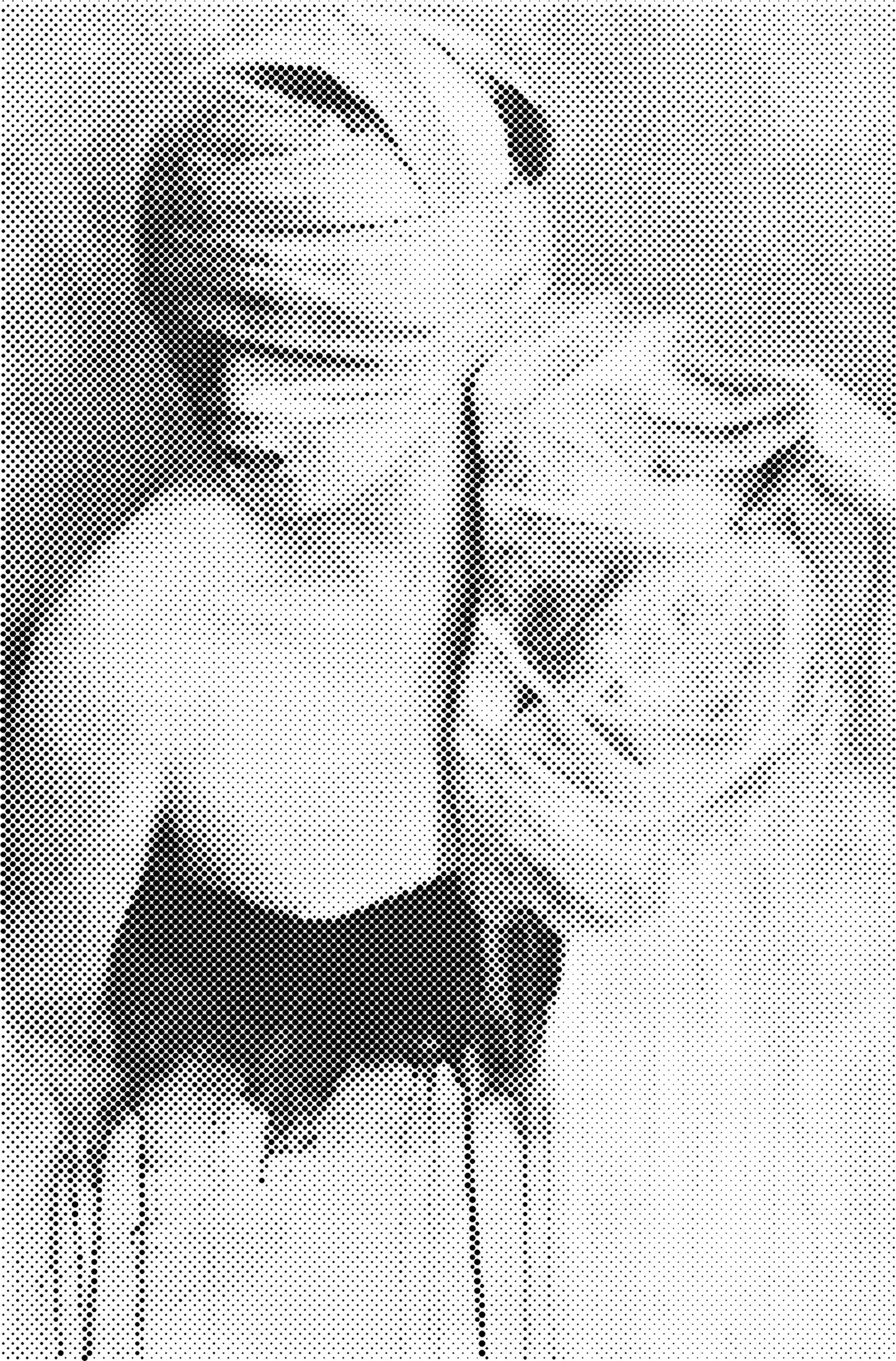 DOT Painting Portretten - Canvas (40x60cm, 50x75cm, 60x90cm)