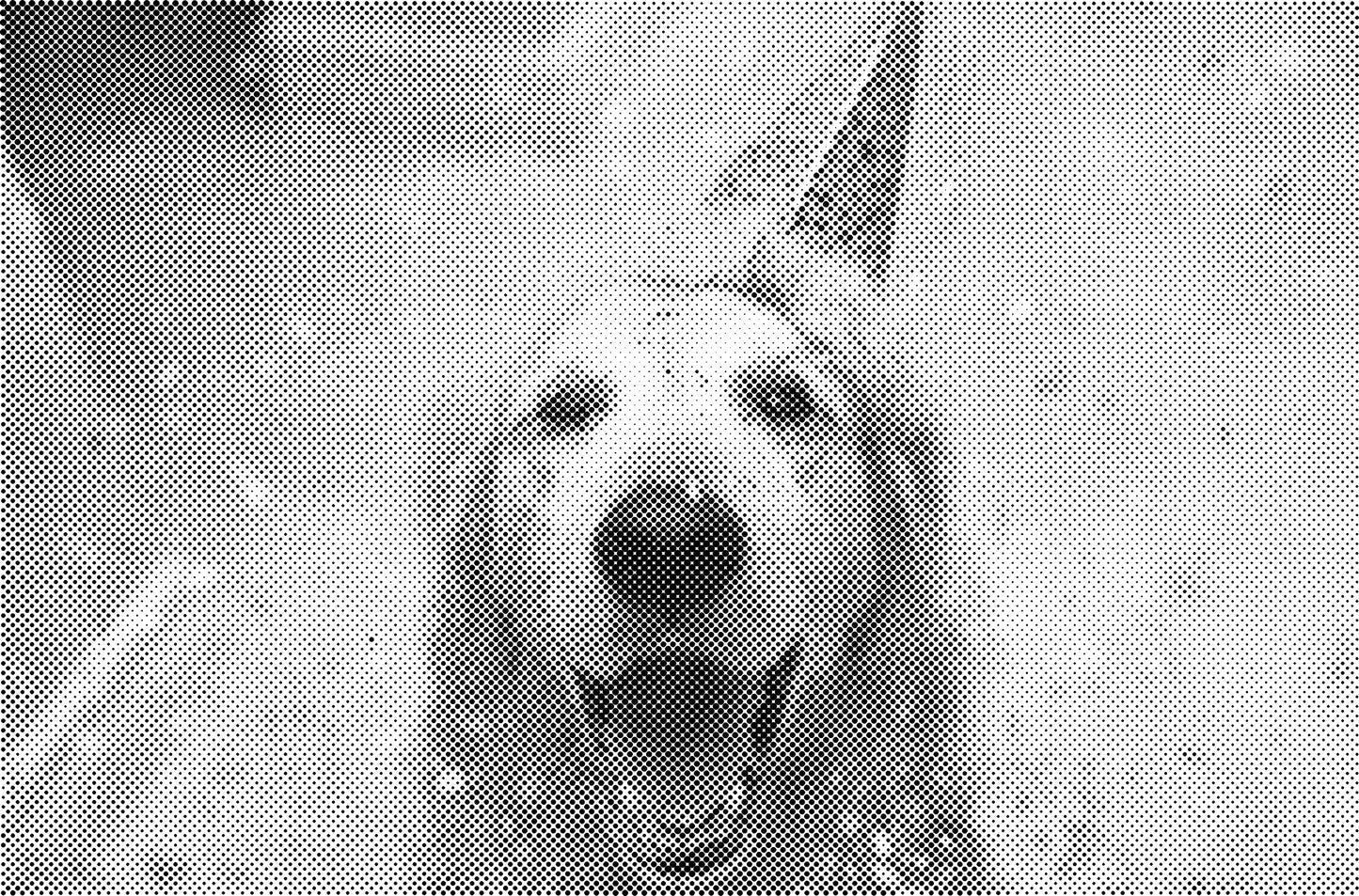 DOT Painting - Wolven en Honden