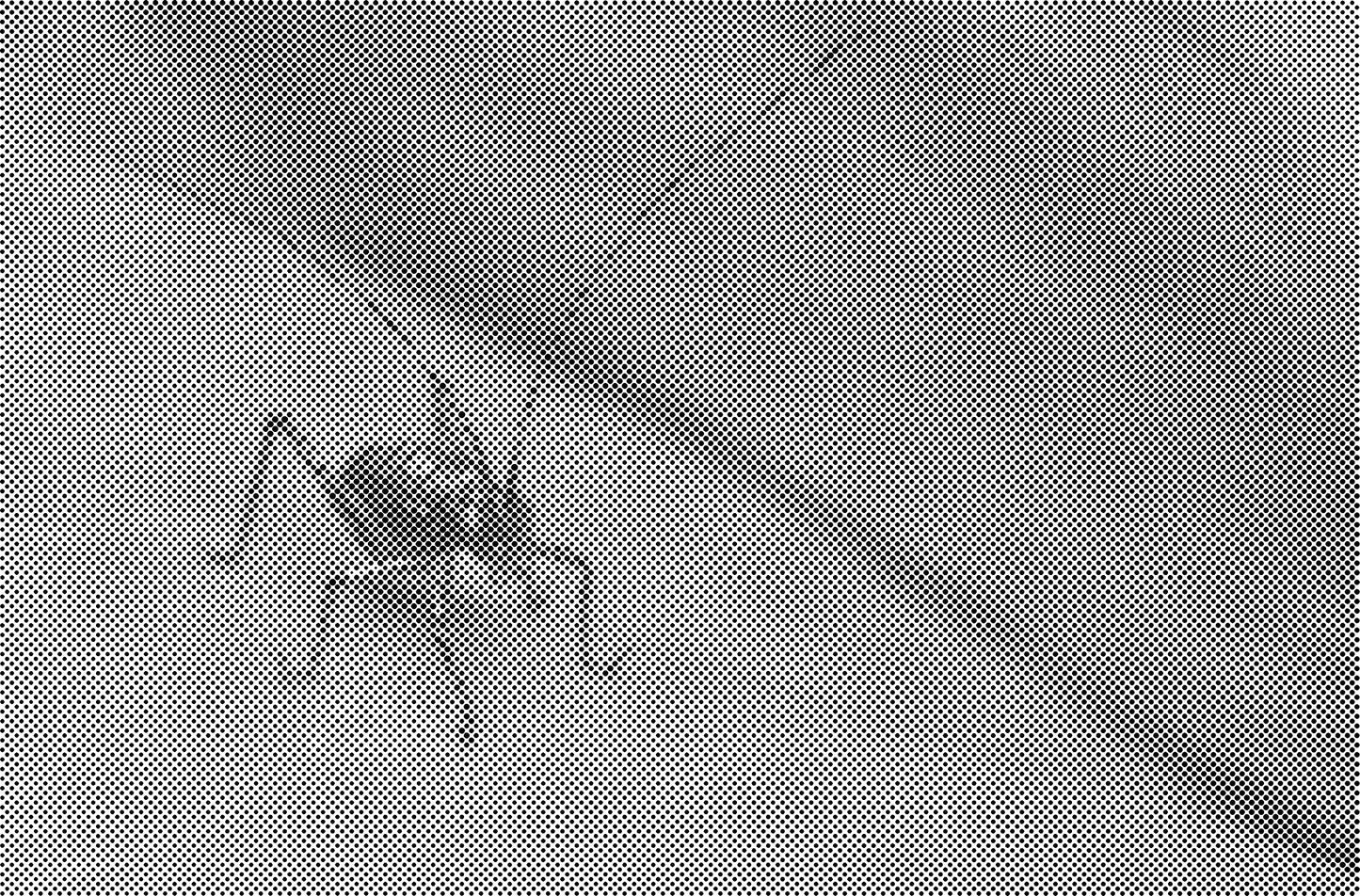 DOT Painting Dieren - (Paarden, Giraf, Vogels) - Verkrijgbaar in 40x60cm, 50x75cm, 60x90cm