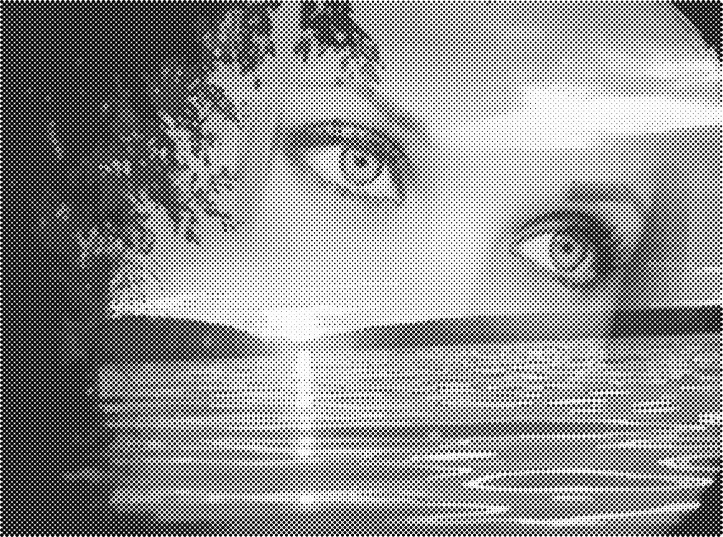 DOT Painting Abstract en Aap Noot Mies - Keuze uit 30x40cm, 45x60cm of 60x80cm