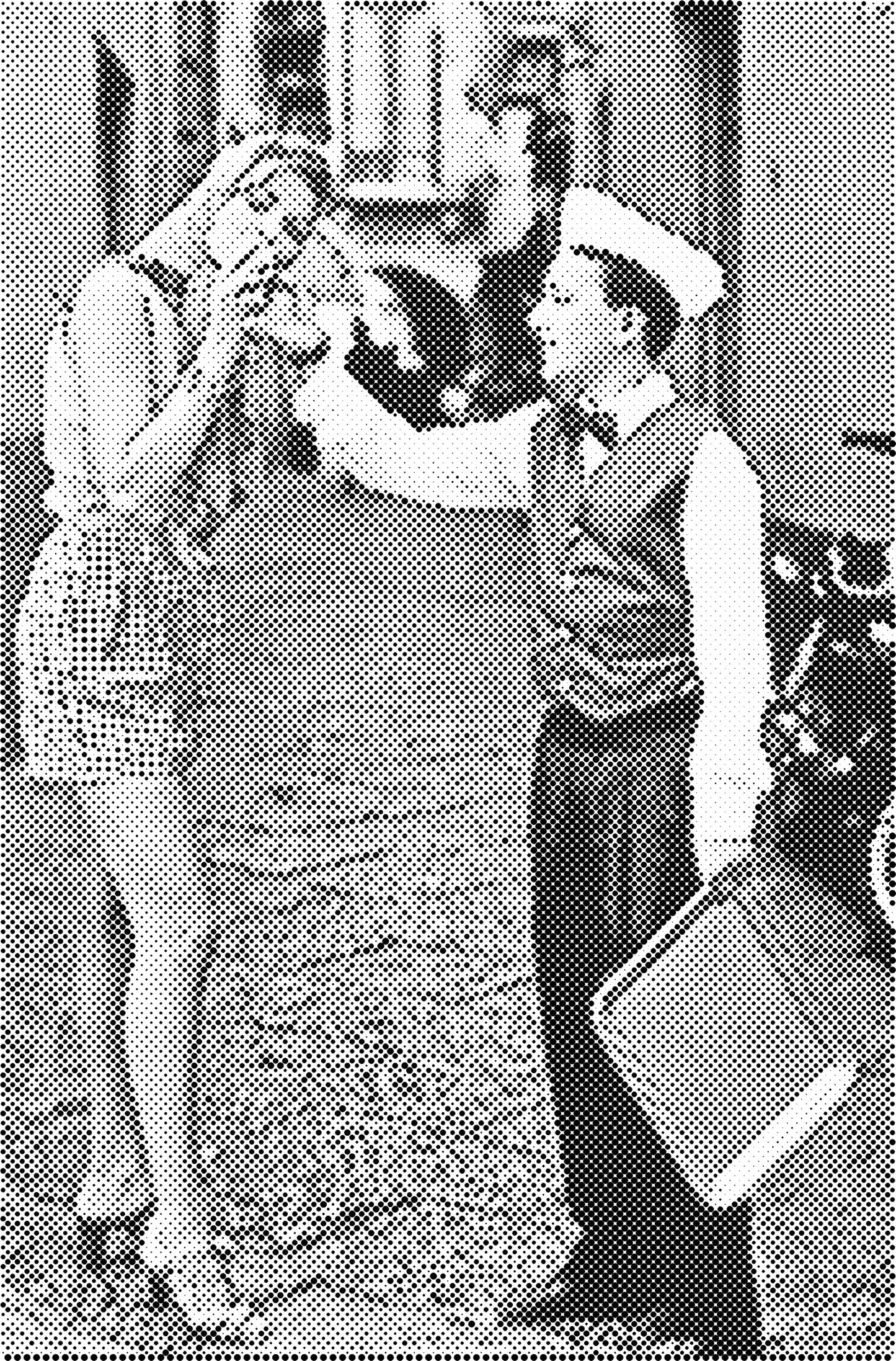 DOT Painting Portretten - Canvas (40x60cm, 50x75cm, 60x90cm)