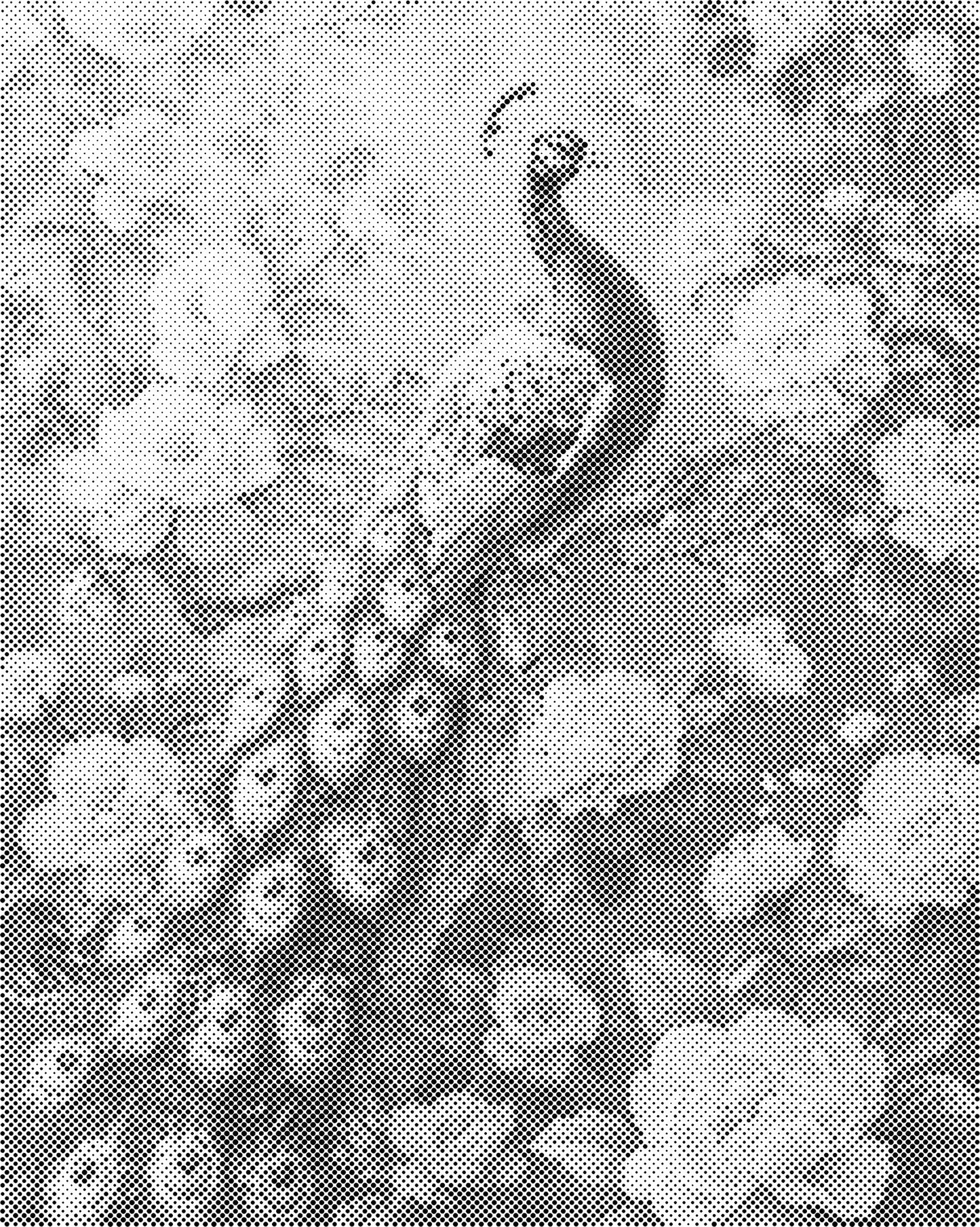 DOT Painting – Dieren op Canvas (40x50cm of 60x75cm) – Met of zonder stiften