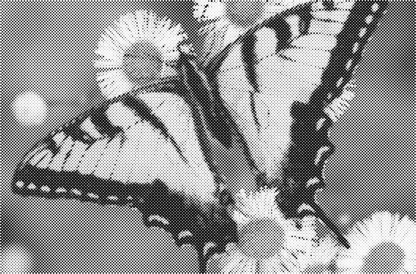 DOT Painting Dieren - Katten en Vogels