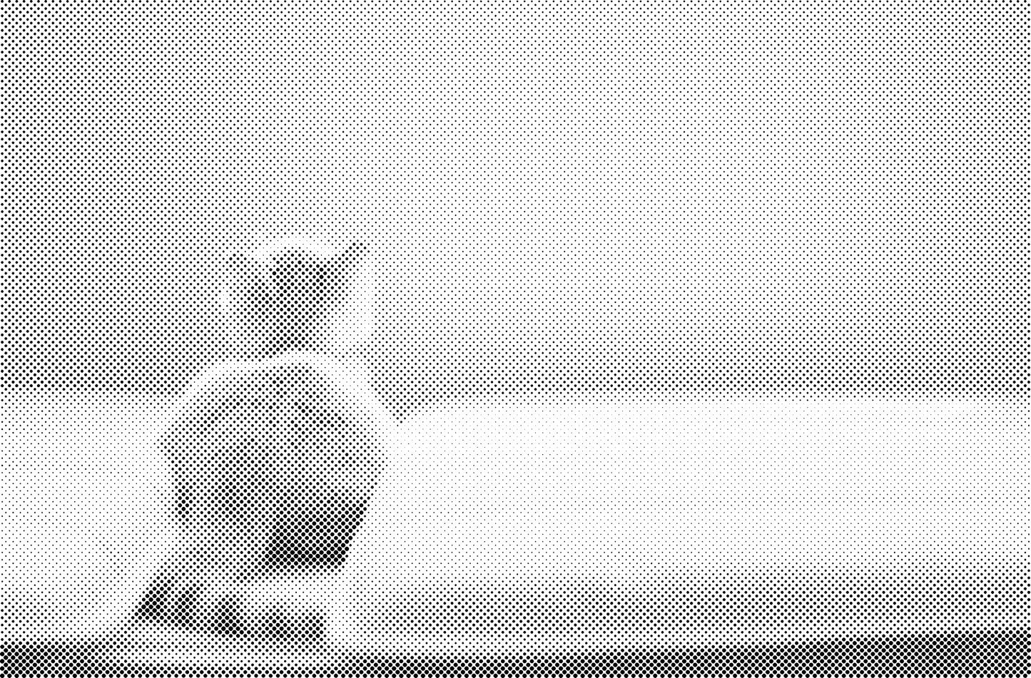 DOT Painting Katten - Verkrijgbaar in 40x60cm, 50x75cm en 60x90cm