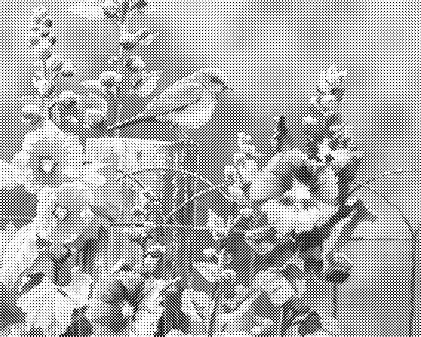 DOT Painting Landschappen en Steden - Verkrijgbaar in 40x50 cm en 60x75 cm