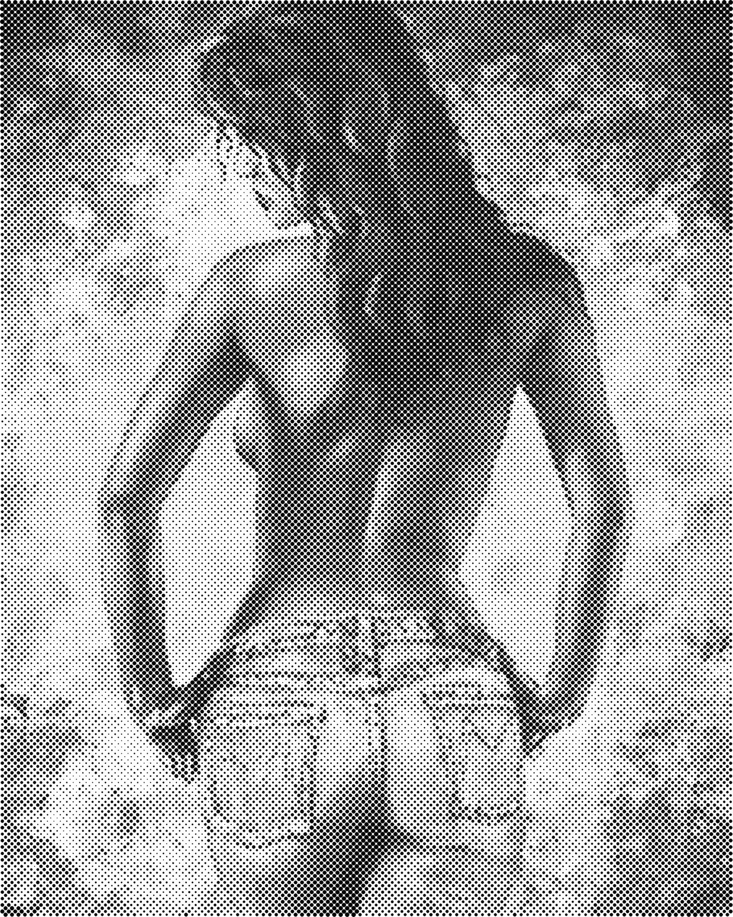 DOT Painting: Eenkleurige Stippelkunst Portretten