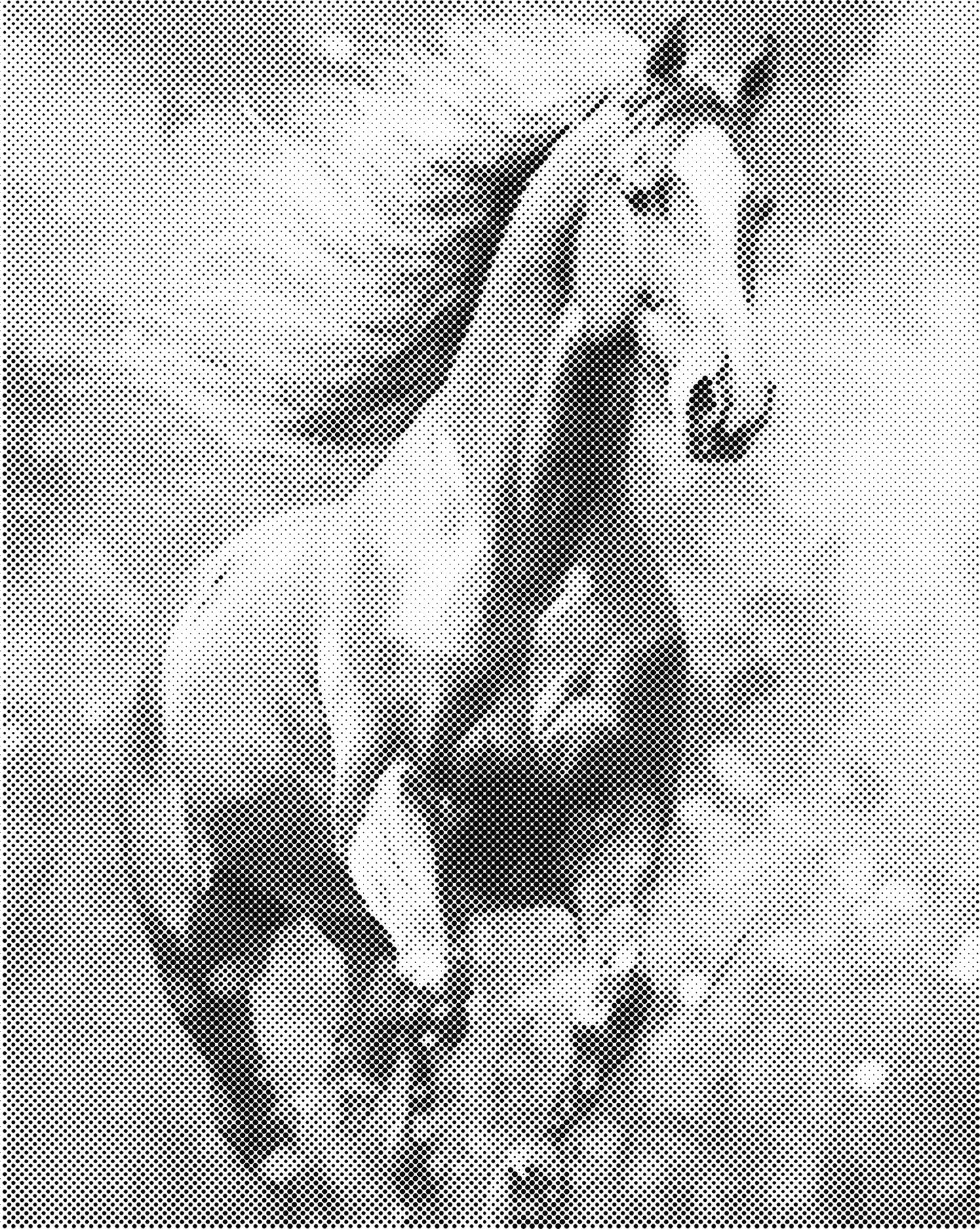 DOT Painting - Dieren op Canvas (40x50cm / 60x75cm)