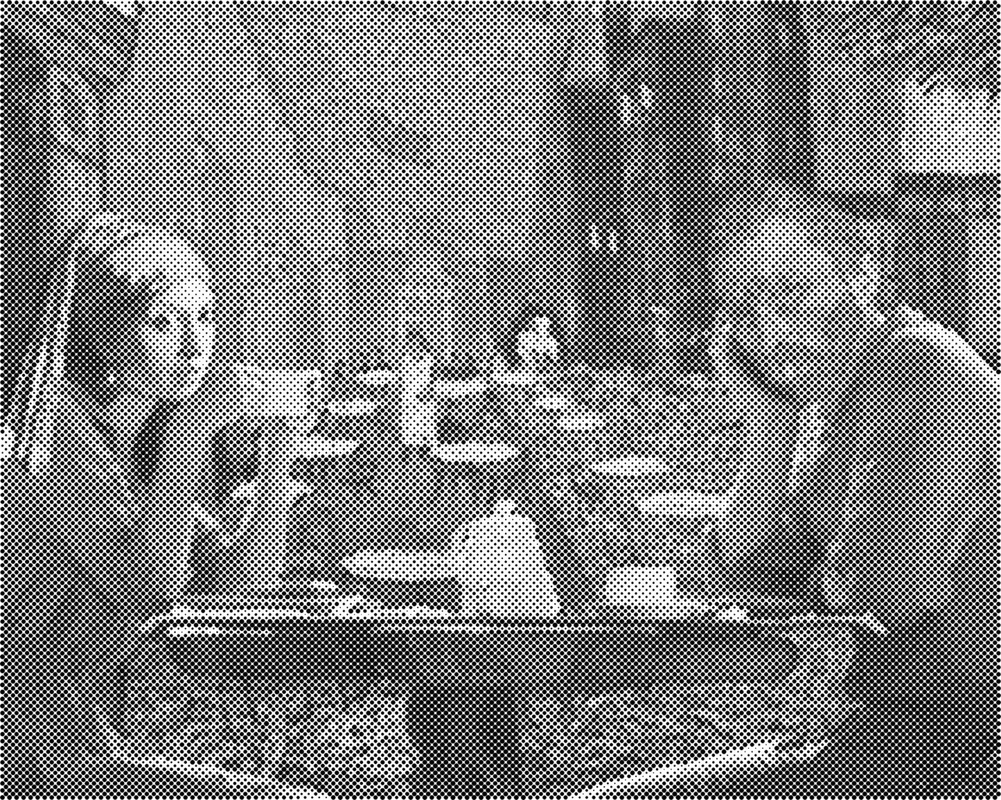 DOT Painting: Eenkleurige Stippelkunst Portretten