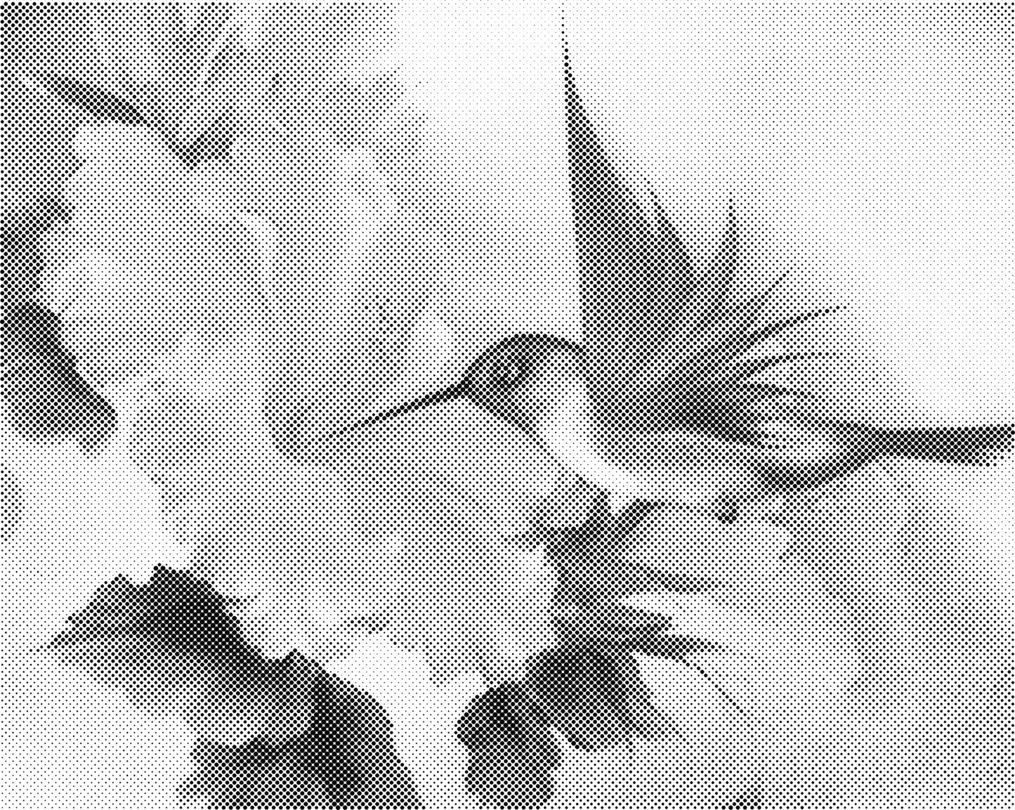 DOT Painting - Dieren op Canvas (40x50cm / 60x75cm)