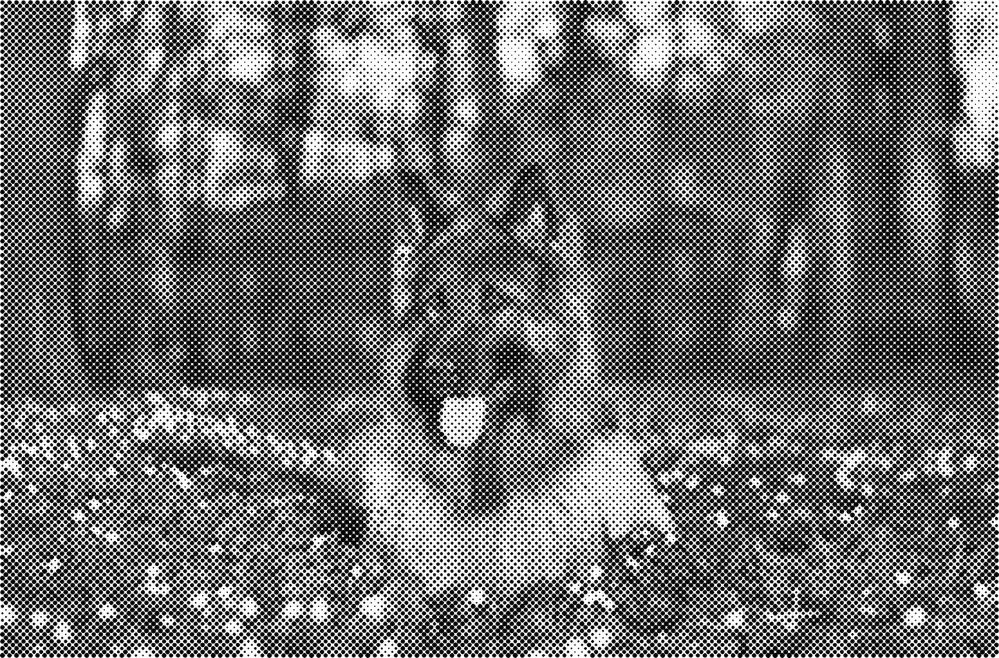 DOT Painting Honden, Eenden en Vogels - Verkrijgbaar in 40x60cm, 50x75cm, en 60x90cm