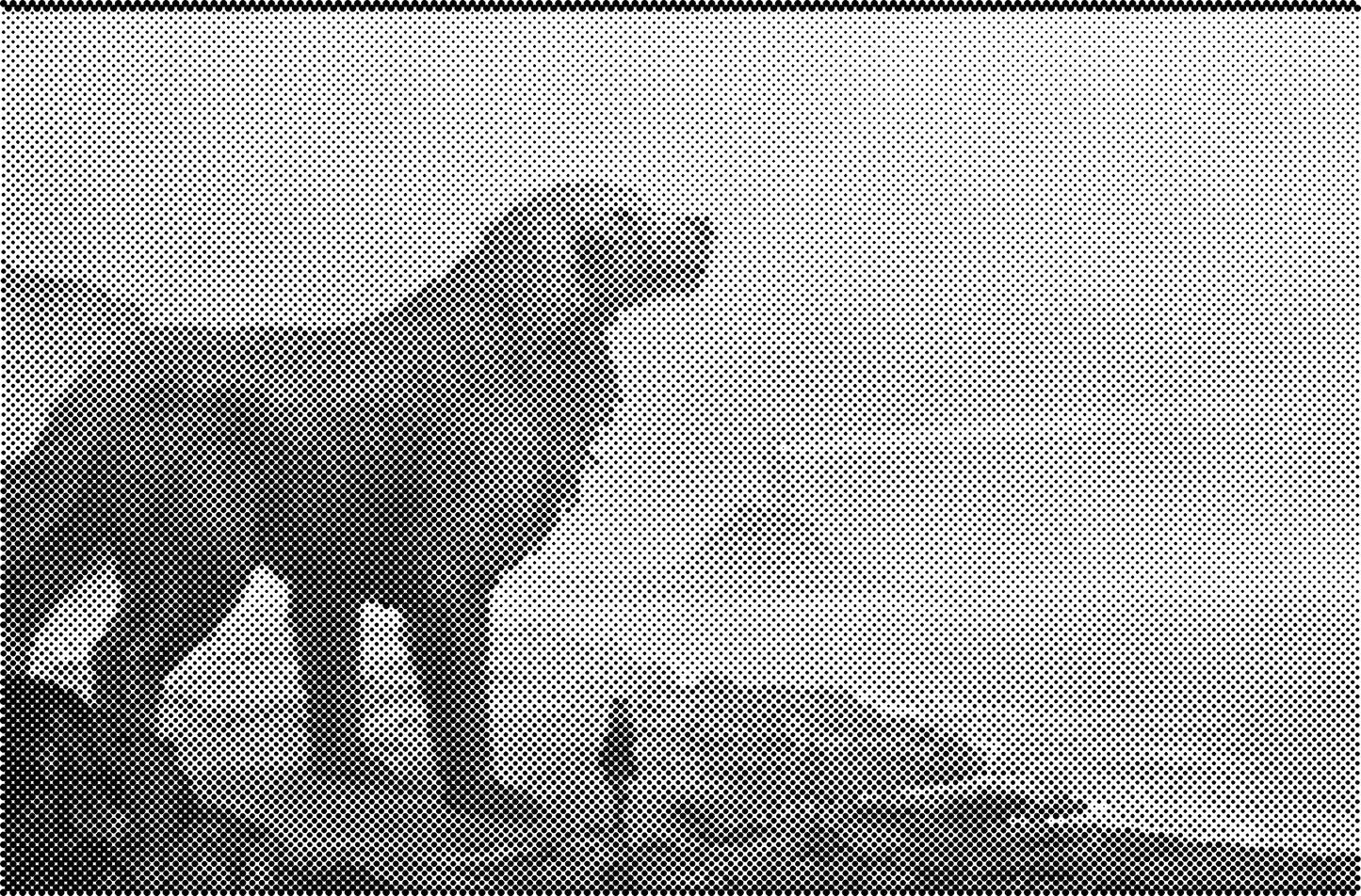 DOT Painting - Wolven en Honden