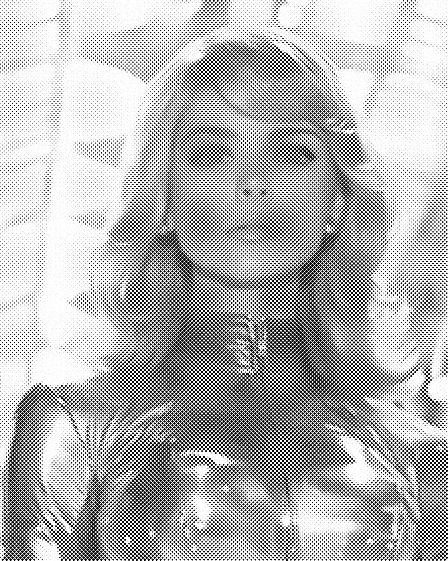 DOT Painting Portret – Stippenkunst op Canvas (40x50cm of 60x75cm)