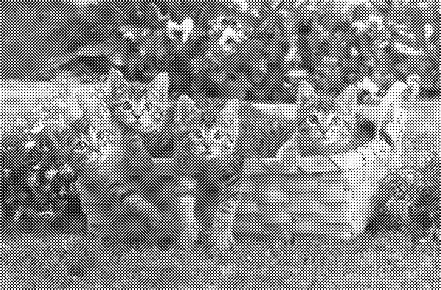 DOT Painting Katten - Verkrijgbaar in 40x60cm, 50x75cm en 60x90cm