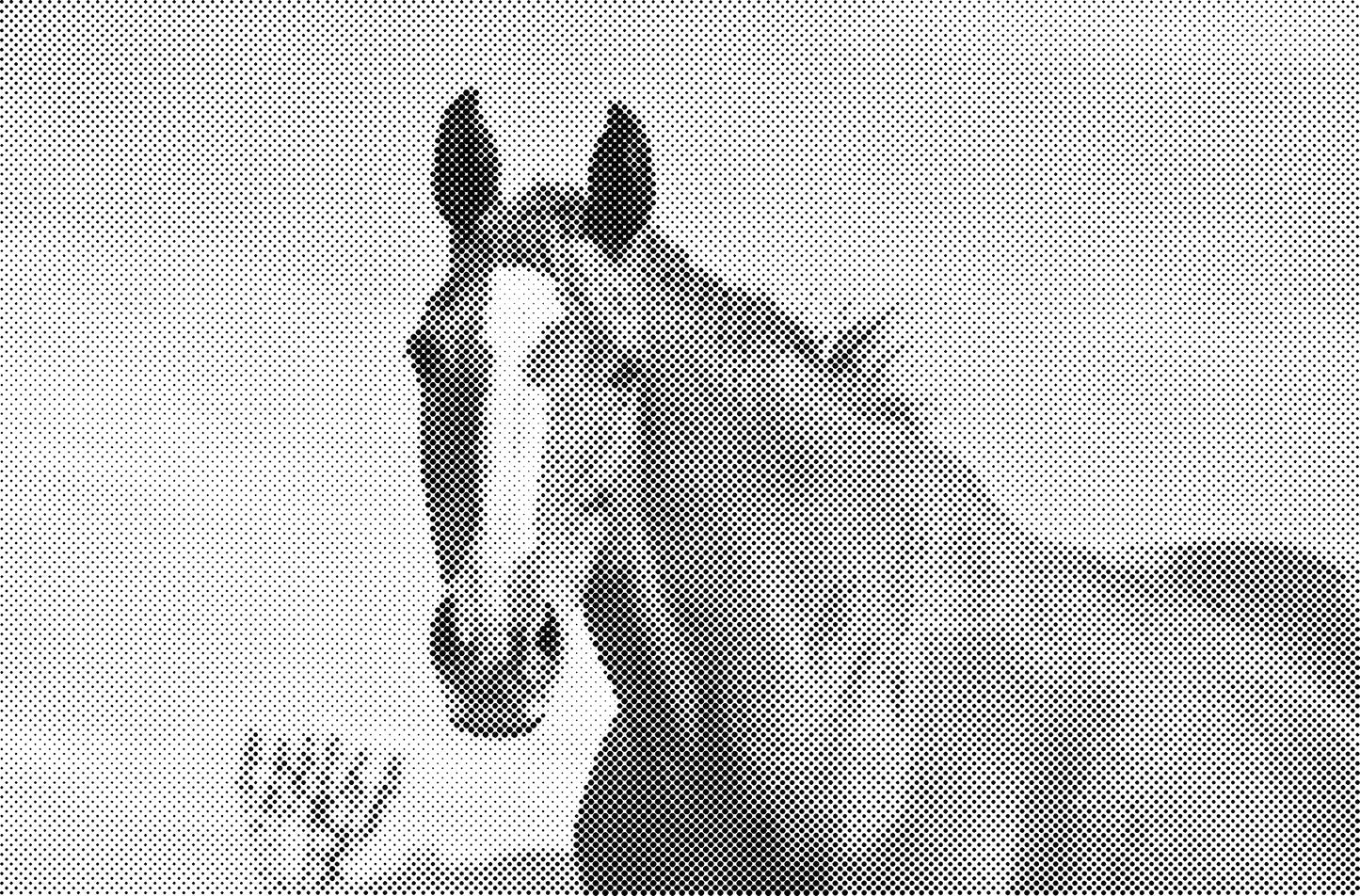 DOT Painting Dieren - (Paarden, Giraf, Vogels) - Verkrijgbaar in 40x60cm, 50x75cm, 60x90cm