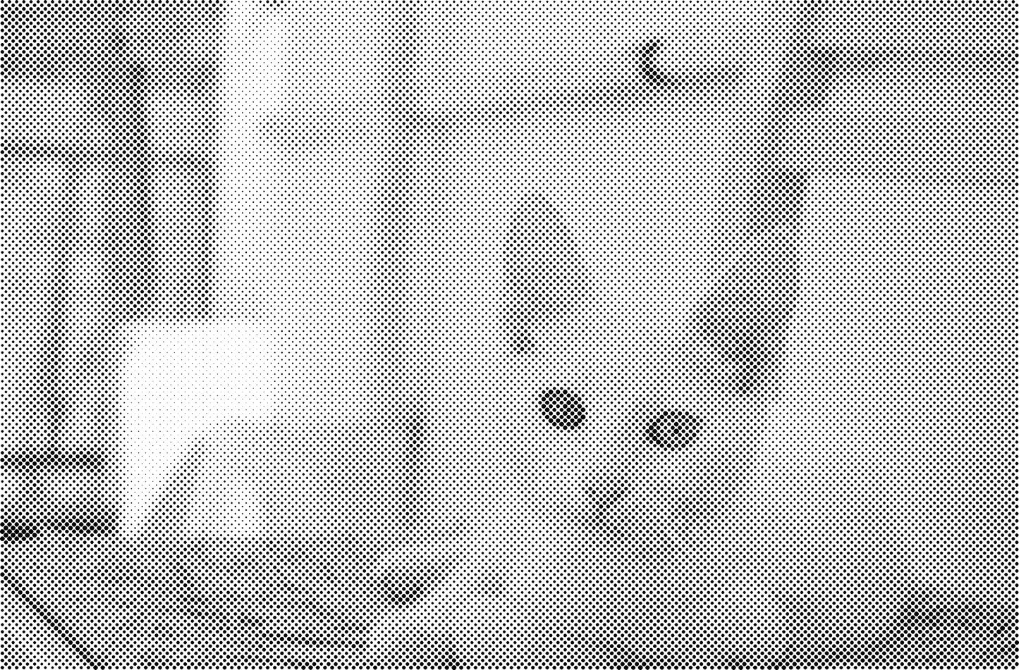 DOT Painting Katten - Verkrijgbaar in 40x60cm, 50x75cm en 60x90cm