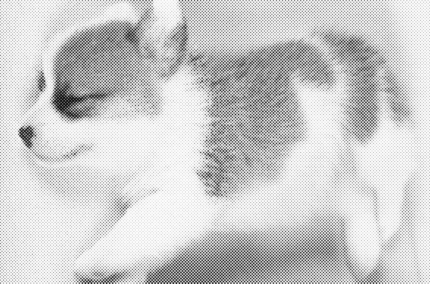 DOT Painting - Wolven en Honden