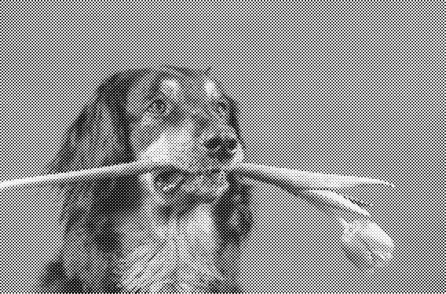 DOT Painting Honden, Eenden en Vogels - Verkrijgbaar in 40x60cm, 50x75cm, en 60x90cm