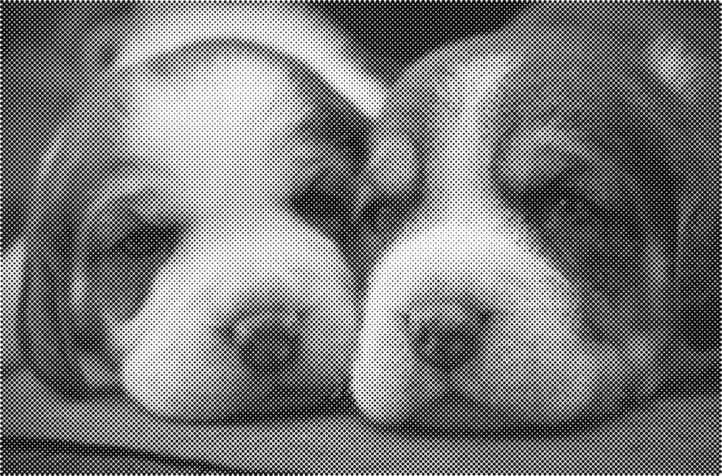 DOT Painting Honden, Eenden en Vogels - Verkrijgbaar in 40x60cm, 50x75cm, en 60x90cm