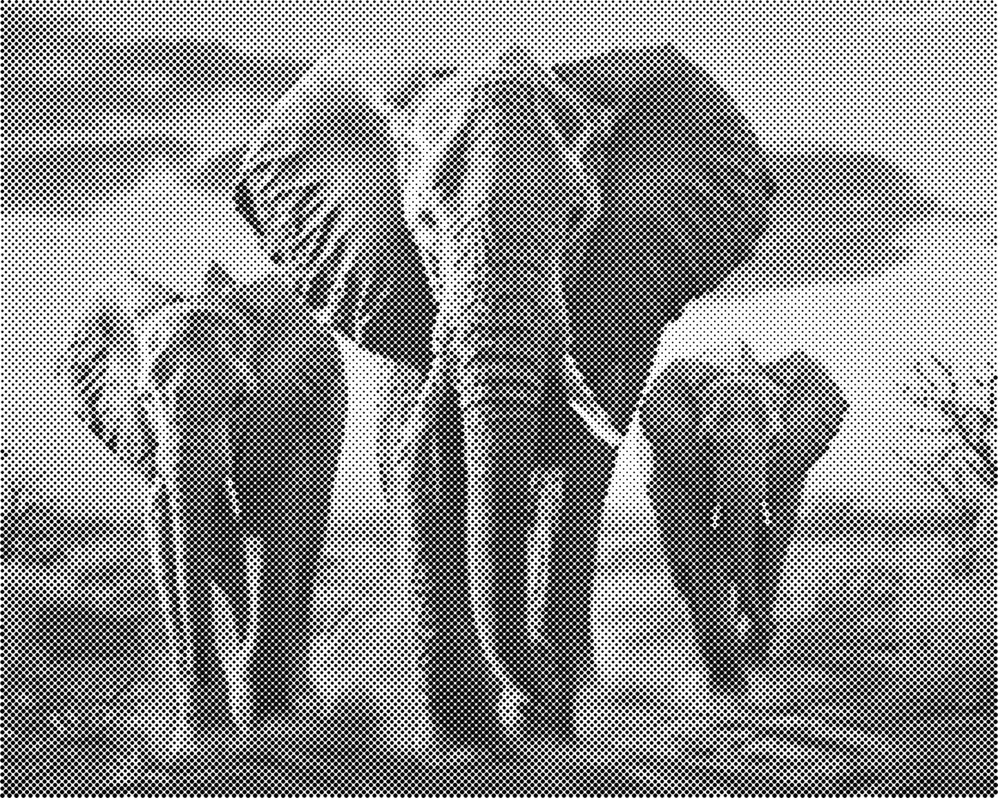 DOT Painting 40x50cm - Olifanten Design