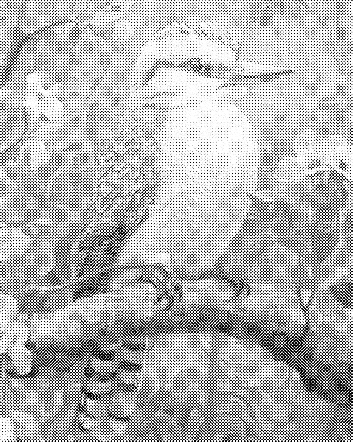 DOT Painting - Dieren op Canvas (40x50cm / 60x75cm)