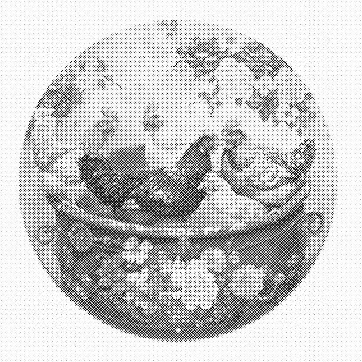 DOT Painting – Kippen & Hanen (40x40cm, 50x50cm of 60x60cm)