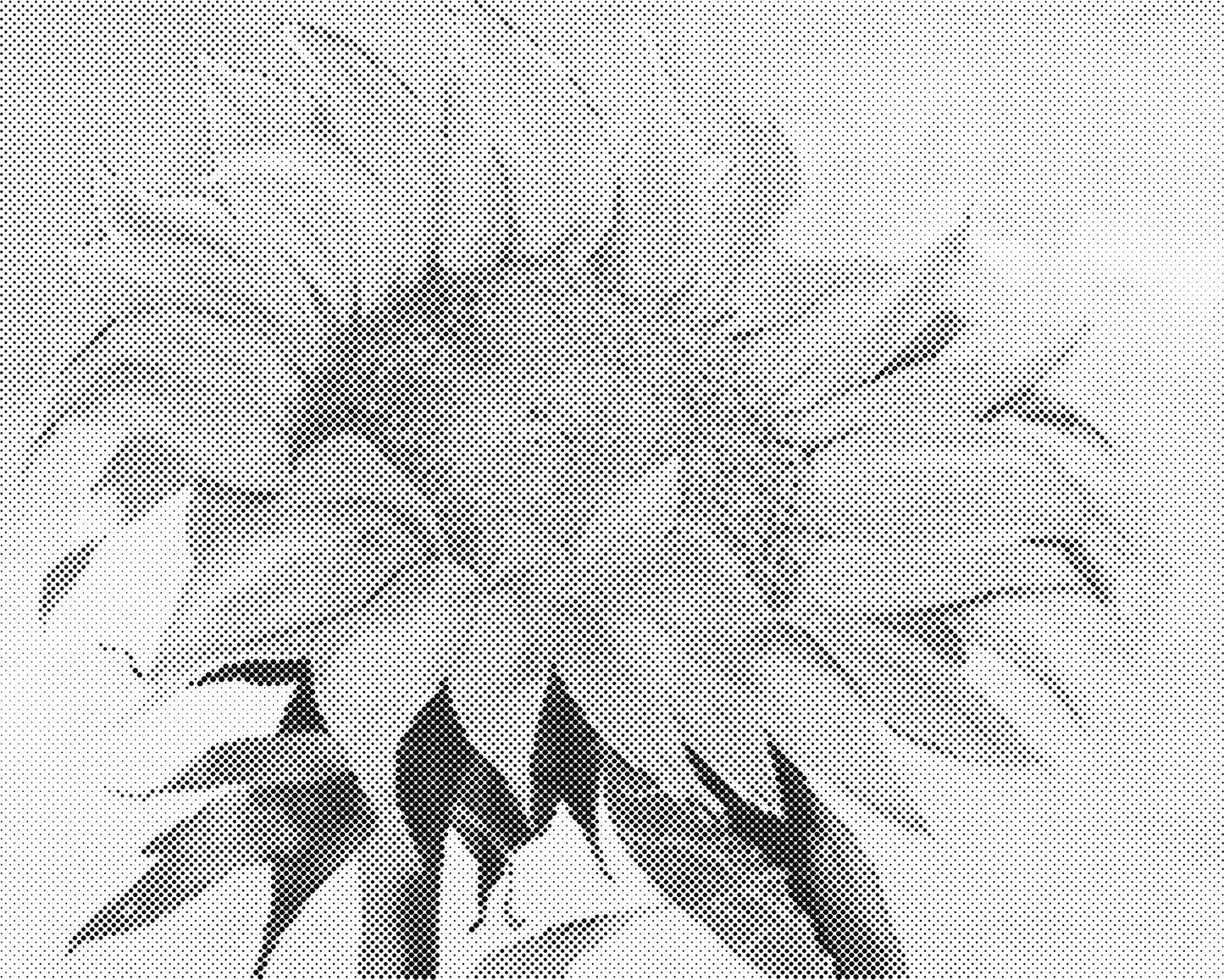 DOT Painting 40x50cm - Bloemen en Planten in Één Kleur