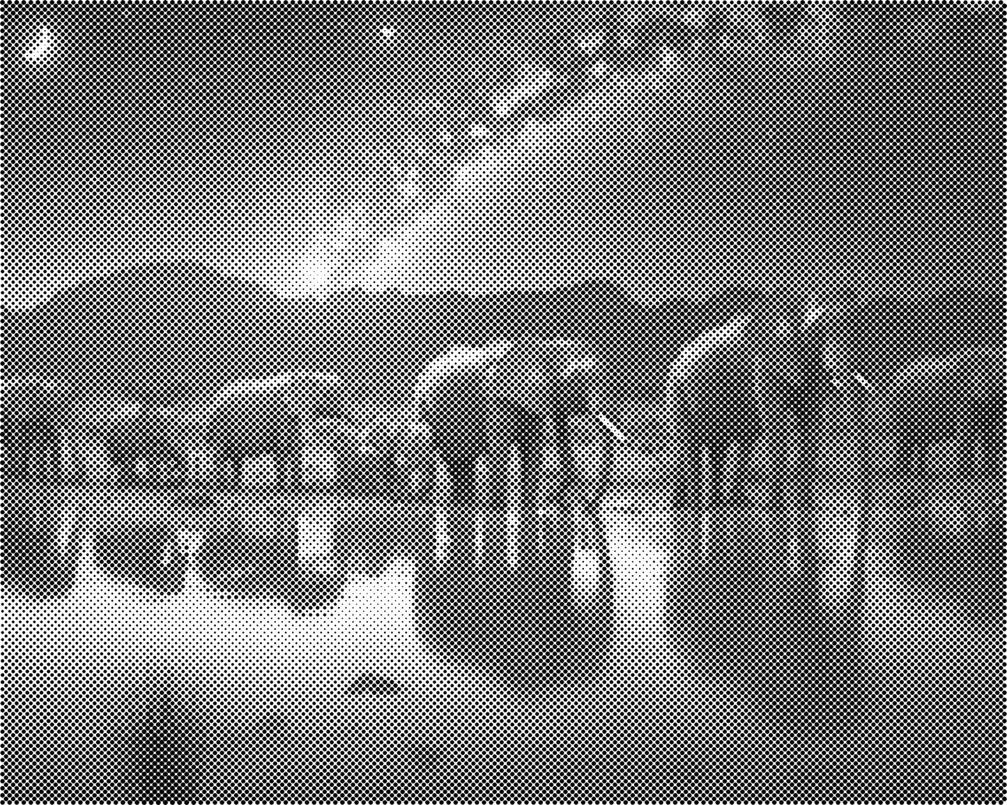 DOT Painting 40x50cm - Olifanten Design