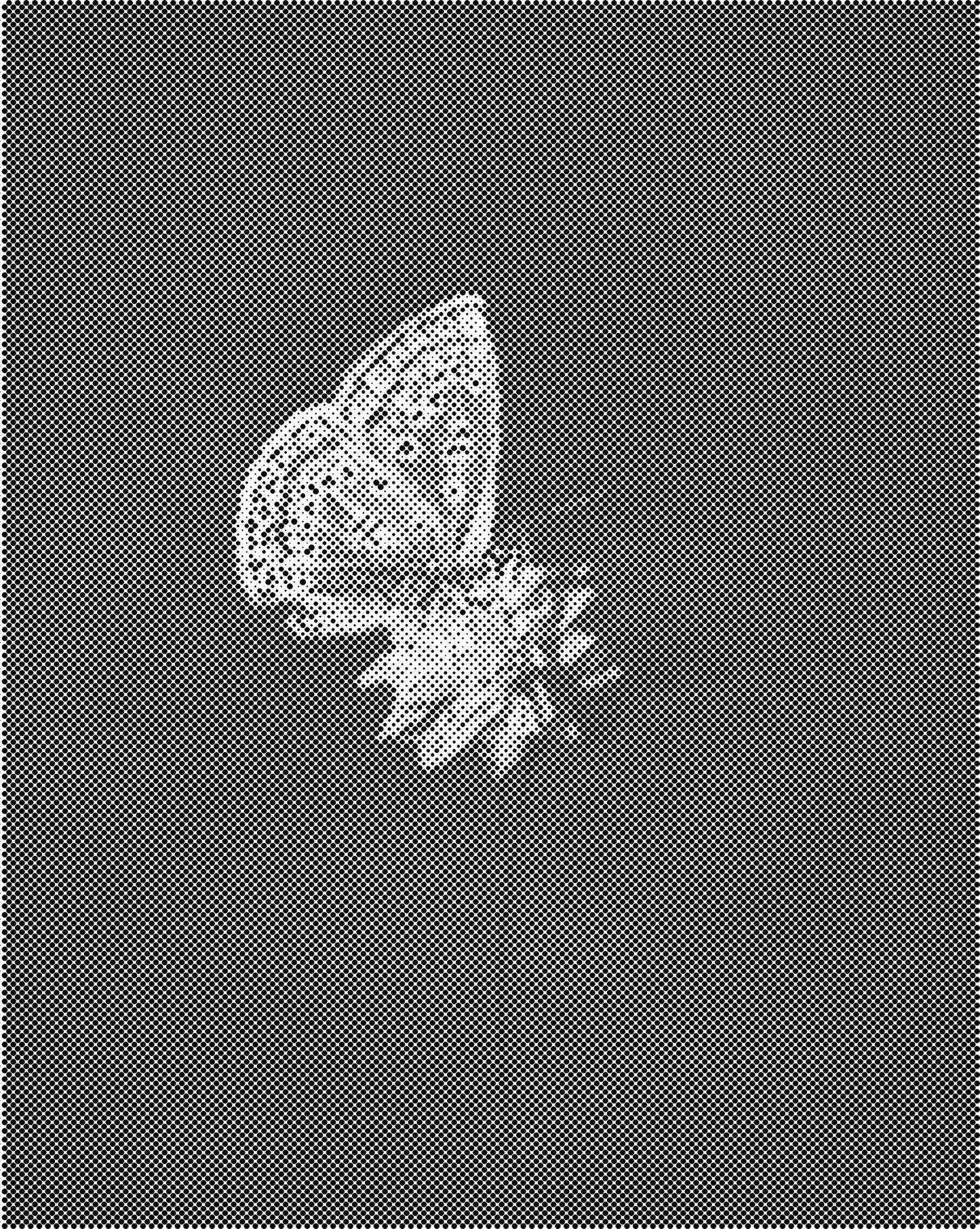 DOT Painting Vlinder - Magical Insects