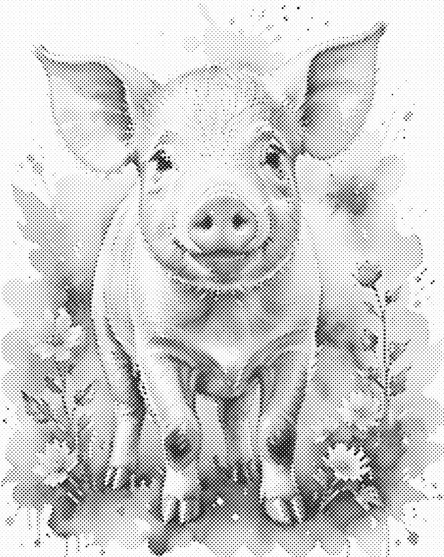 DOT Painting – Dieren op Canvas (40x50cm of 60x75cm) – Met of zonder stiften