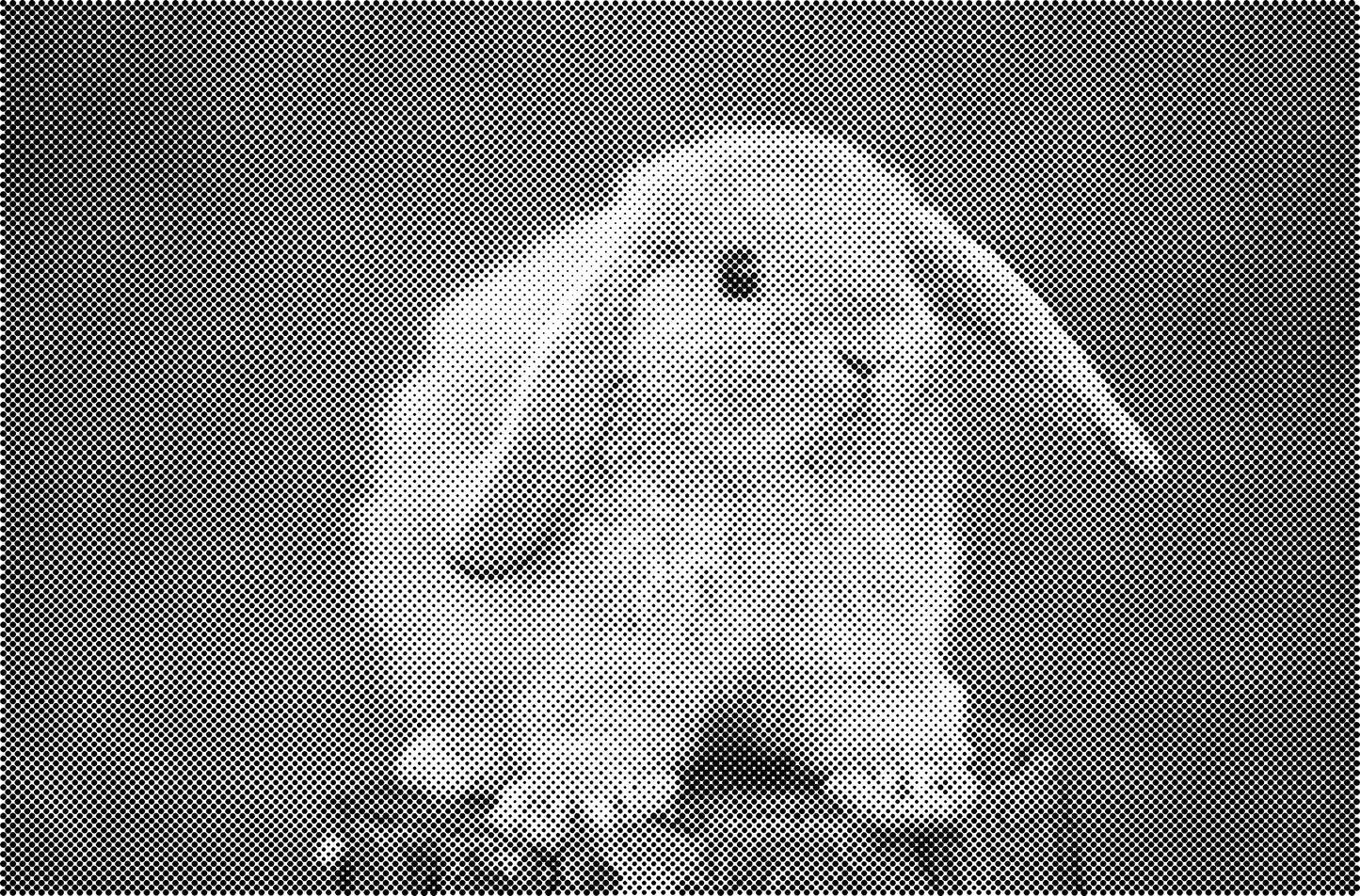 DOT Painting Dieren - Konijnen, Puppies en Katten - Verkrijgbaar in 40x60cm, 50x75cm en 60x90cm