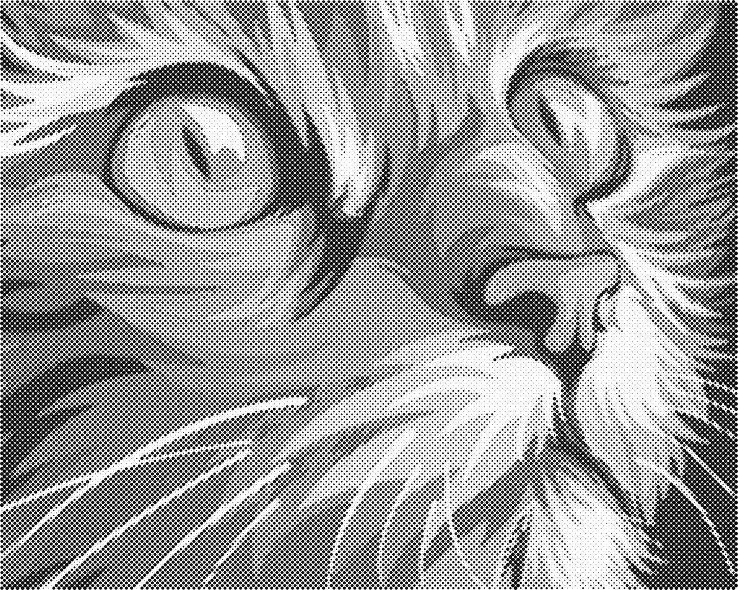 DOT Painting Dieren - Grappige Dieren - 40x50cm of 60x75cm