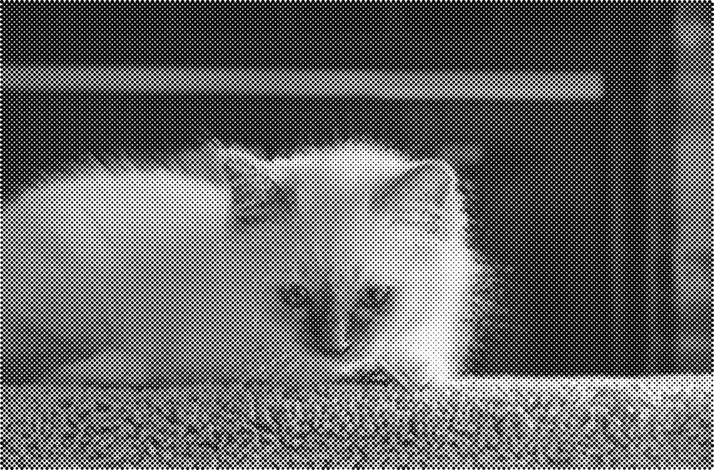 DOT Painting Katten - Verkrijgbaar in 40x60cm, 50x75cm en 60x90cm