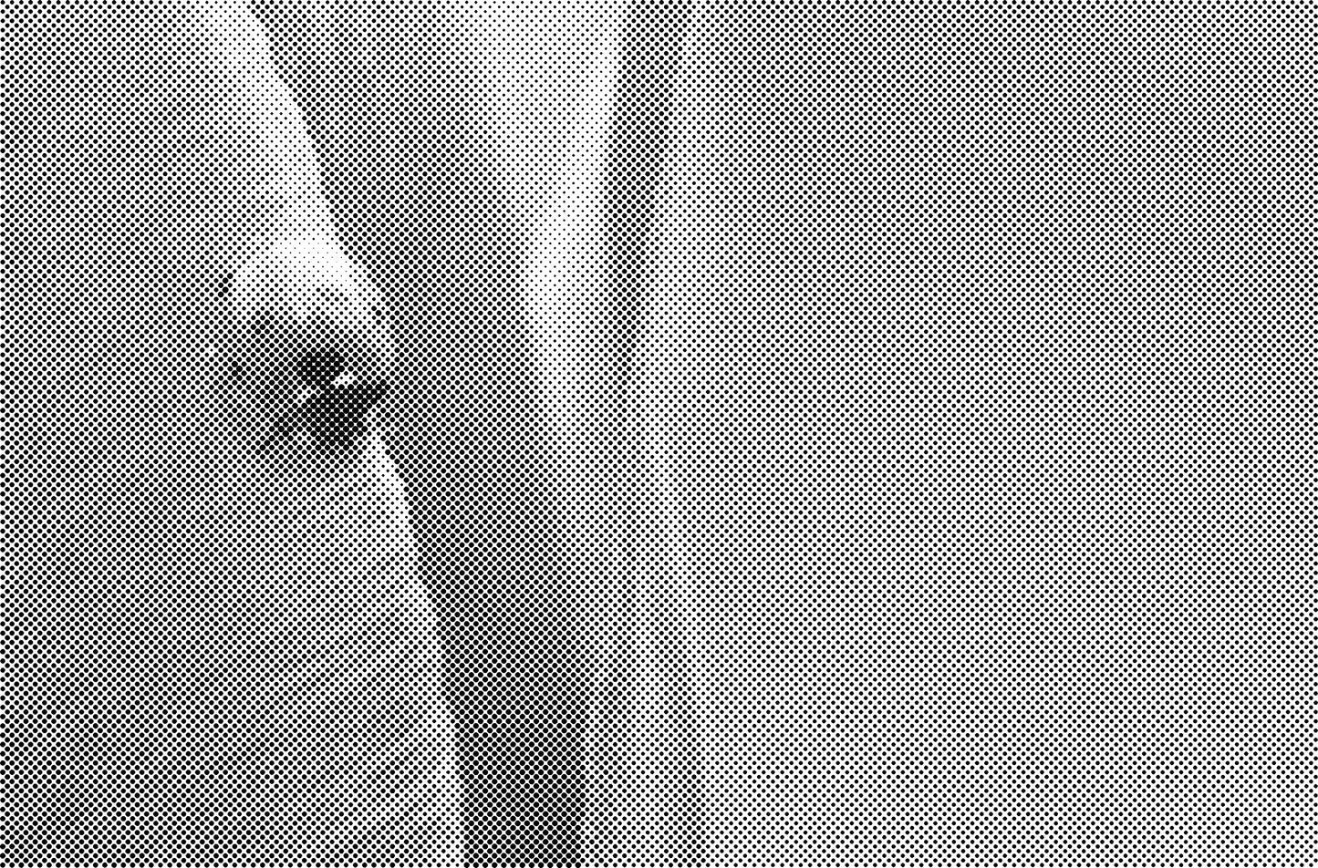 DOT Painting Big Cats - Leeuw, Tijger en Luipaard