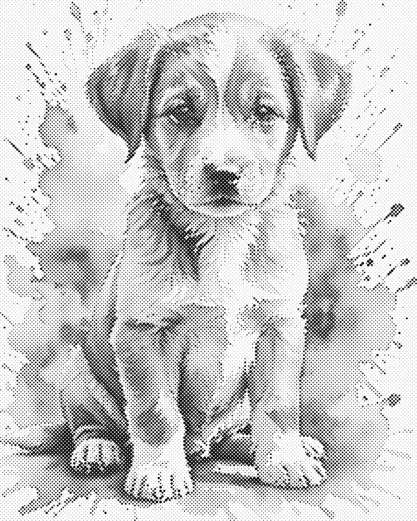 DOT Painting – Dieren op Canvas (40x50cm of 60x75cm) – Met of zonder stiften