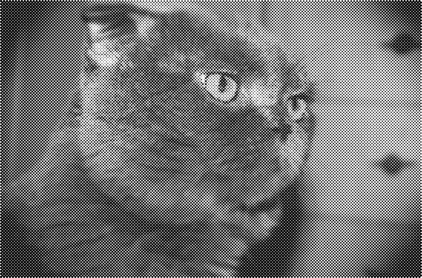 DOT Painting Katten - Verkrijgbaar in 40x60cm, 50x75cm en 60x90cm