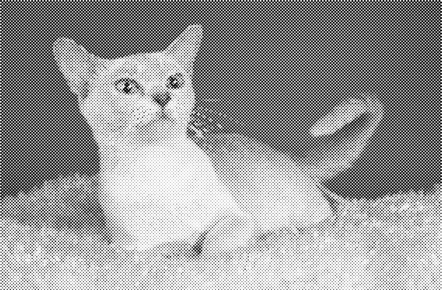 DOT Painting Kattenrassen