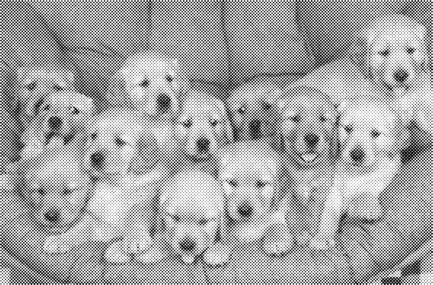 DOT Painting Dieren - Konijnen, Puppies en Katten - Verkrijgbaar in 40x60cm, 50x75cm en 60x90cm