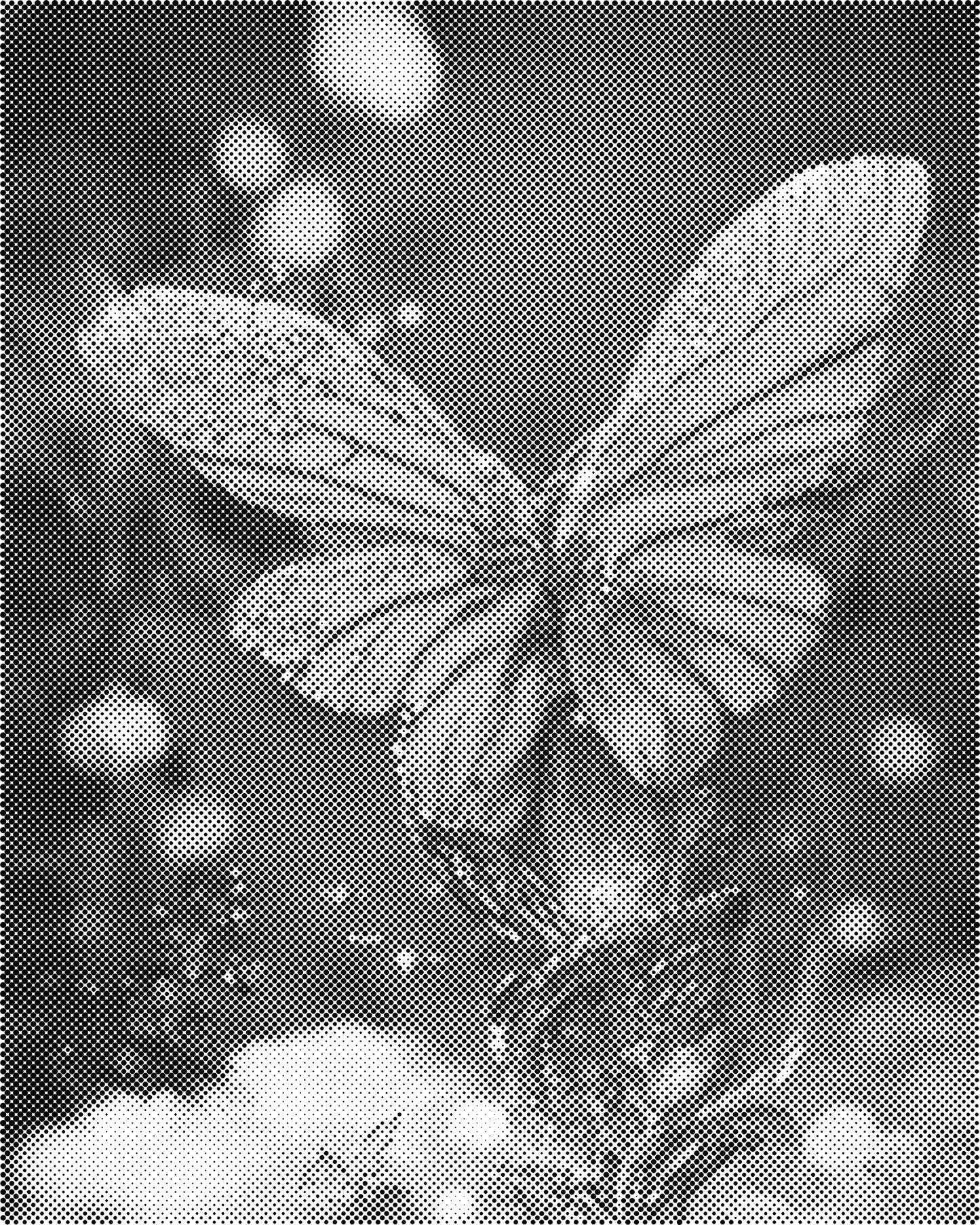 DOT Painting Vlinder - Magical Insects