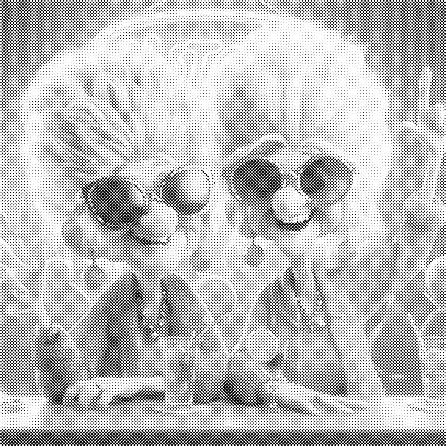 DOT Painting - Gekke Oma's (40x40cm t/m 60x60cm) – Met of zonder stiften