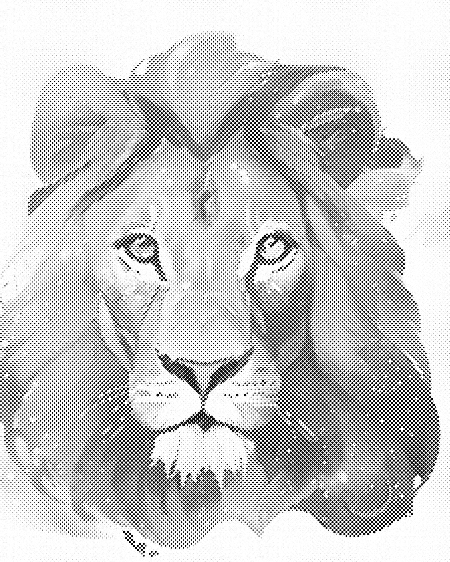 DOT Painting - Dieren op Canvas (40x50cm / 60x75cm)