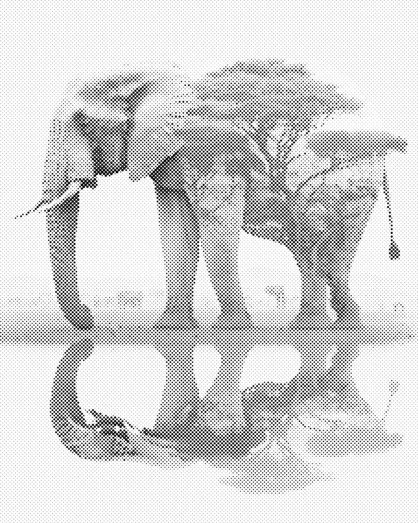 DOT Painting 40x50cm - Olifanten Design