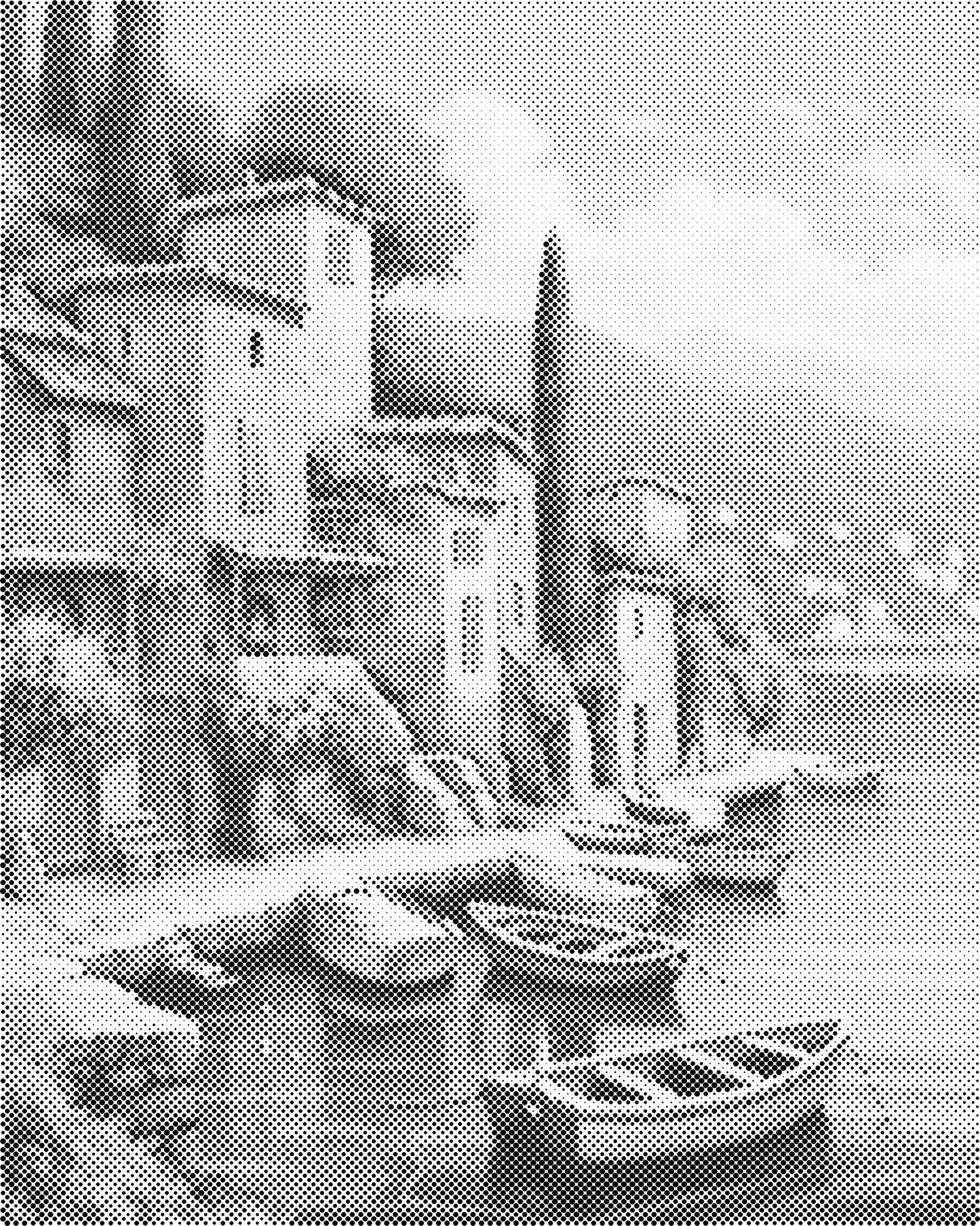 DOT Painting Landschappen - Voorbedrukt Canvas (40x50 cm of 60x75 cm)