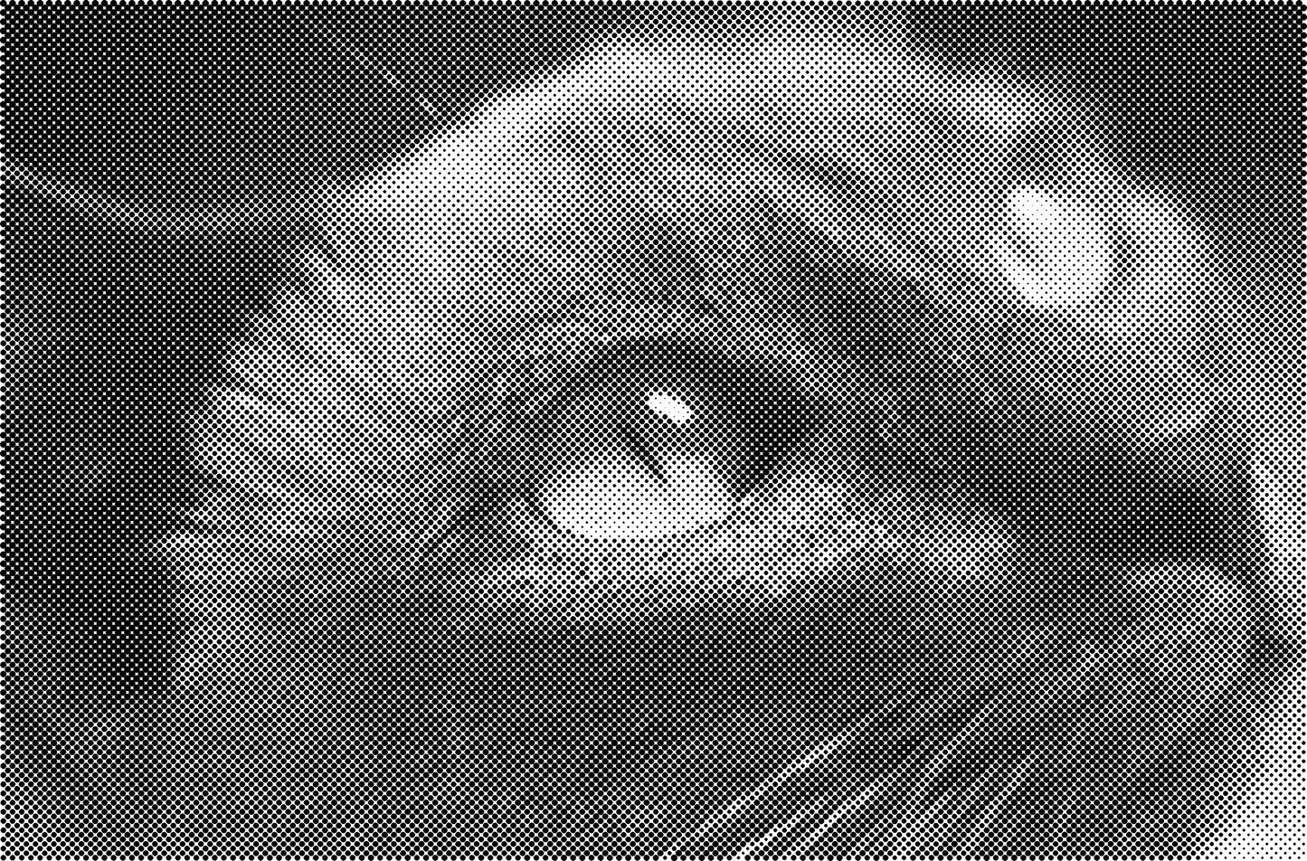 DOT Painting Kattenrassen