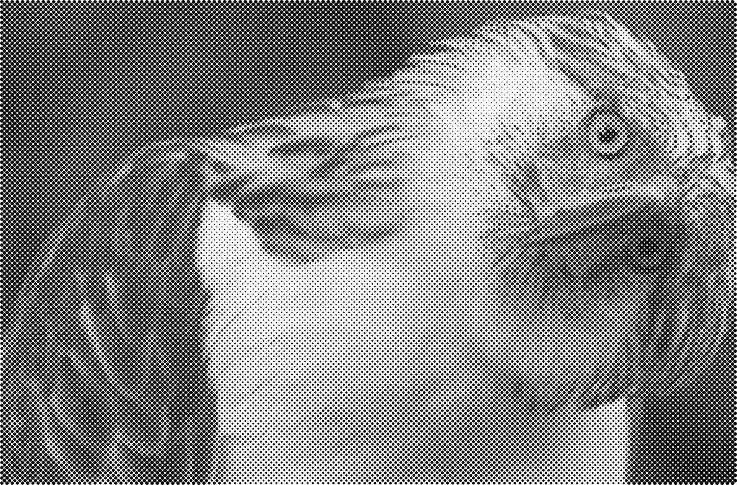 DOT Painting Dieren - (Paarden, Giraf, Vogels) - Verkrijgbaar in 40x60cm, 50x75cm, 60x90cm