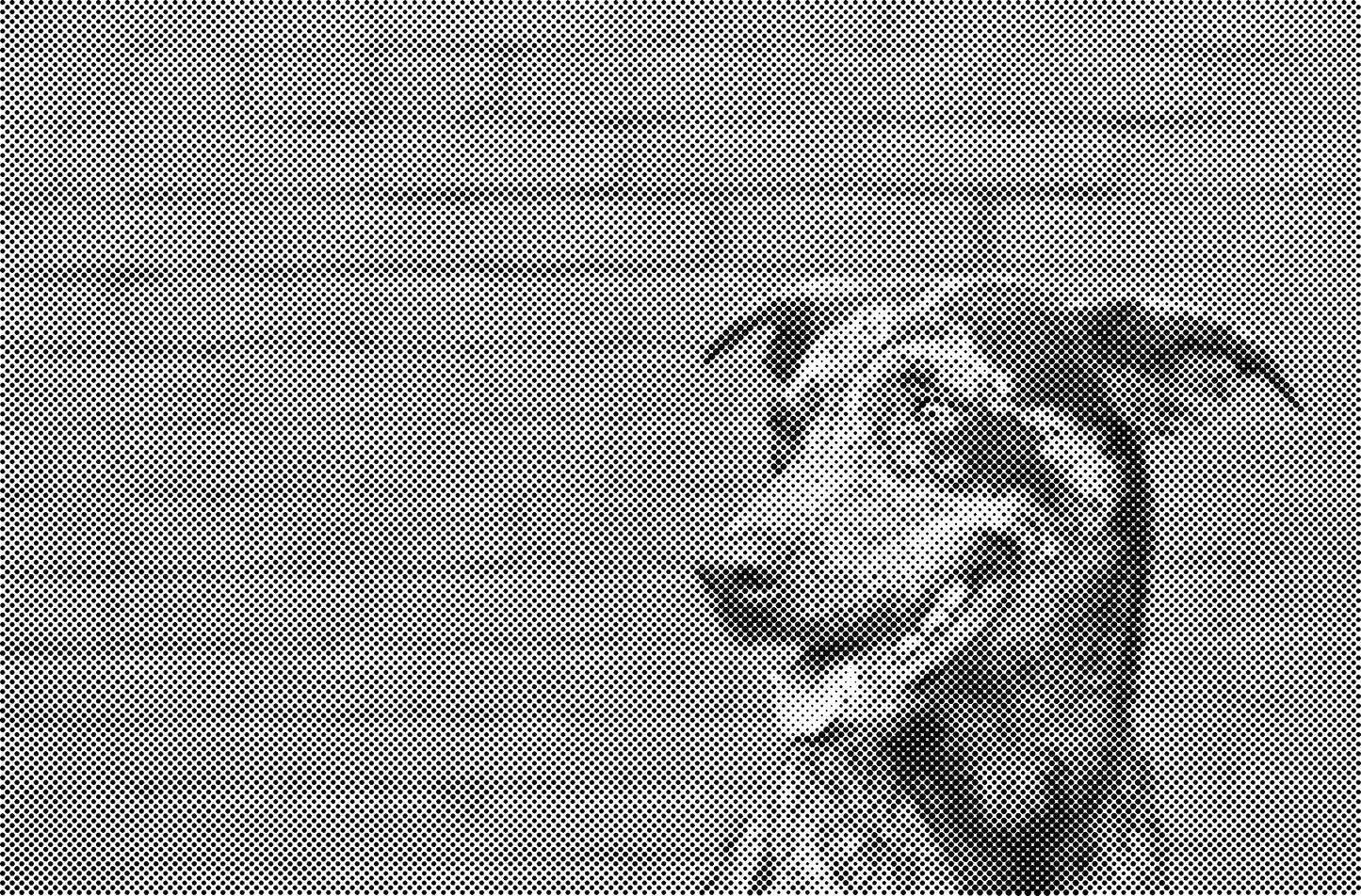 DOT Painting Honden, Eenden en Vogels - Verkrijgbaar in 40x60cm, 50x75cm, en 60x90cm